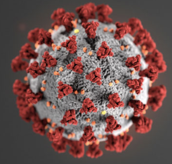 Microscopic picture of Coronavirus